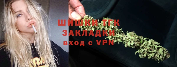 гидра Волоколамск