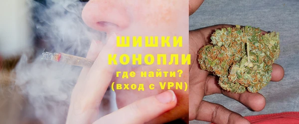 скорость Вяземский
