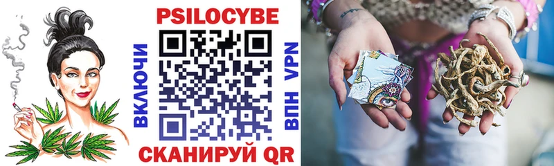 Псилоцибиновые грибы Psilocybe Донецк